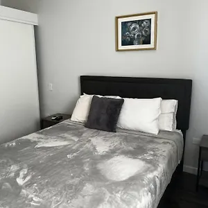 Apartment Spacious 1 Bedroom Apartment, With Pull Out Couch, Koolbaai